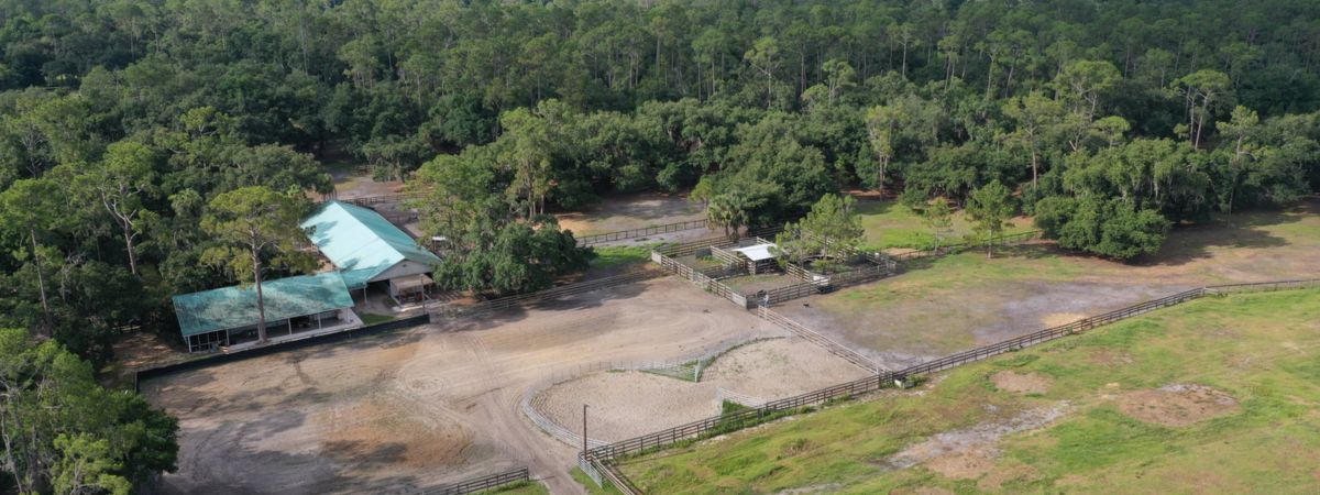 equestrian barn with cross fencing surrounded by timberland