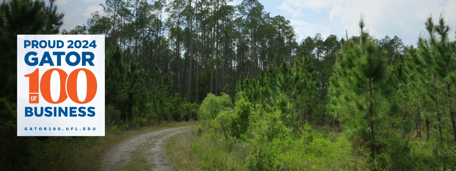 winding trail through timberland in florida