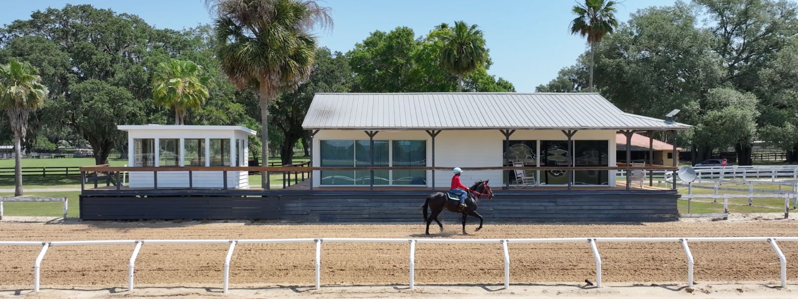 thoroughbred horse race practice in florida